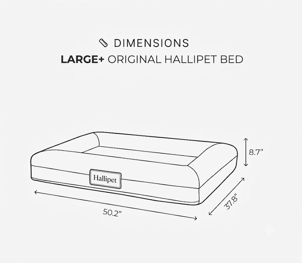 The Hallipet Bed — Bespoke Orthopedic Dog Bed